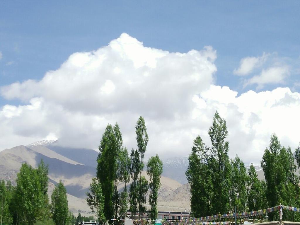 Youthok Guest House Leh Kültér fotó