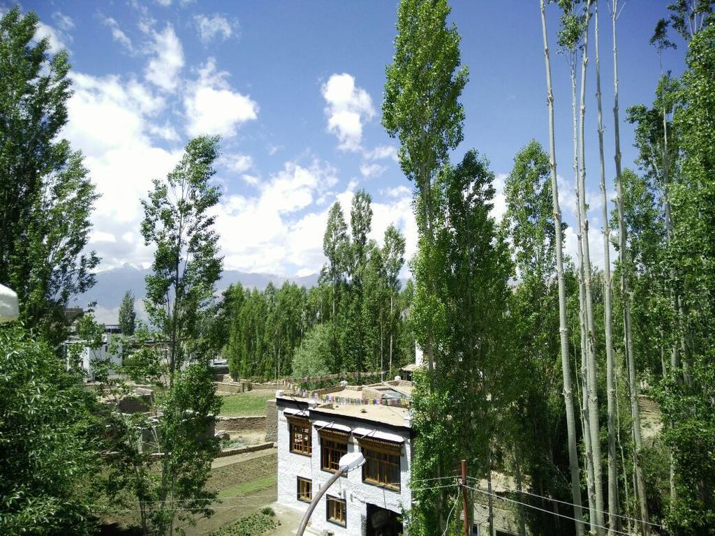 Youthok Guest House Leh Kültér fotó
